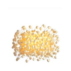 Ango Chrysalis wall sconse