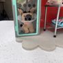 Our generation vet clinic Image 2