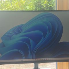 Computer Monitor
