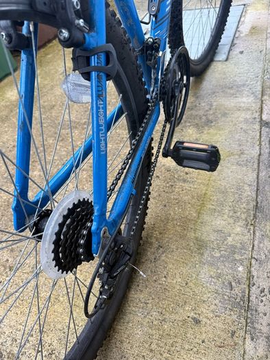 Adult Bike