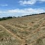 Organic Hay Rossmore/Reenascreena Area Image 4