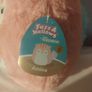squishmallow Image 2