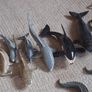 25 Schleich animals Image 4