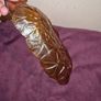 Vintage Amber Carnival Glass Sunflower pattern dish Image 6