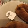 Doggy lover slippers Image 4