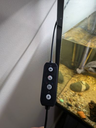 Juwel fish tank