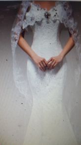 Long Cathedral Length Sequined Veil