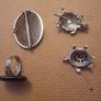 Nice unusual jewellery tortoise brooch,pendent etc Image 5