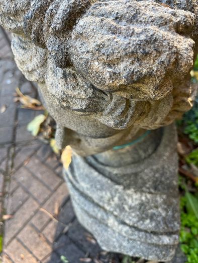Bust