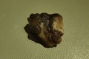Kidney agate NWA.