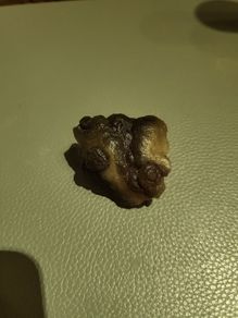 Kidney agate NWA.