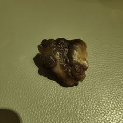 Kidney agate NWA.