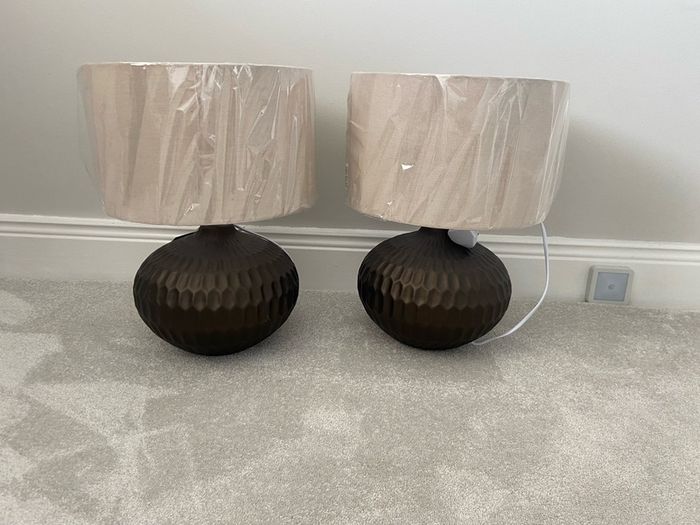 Brand New Lamps X2