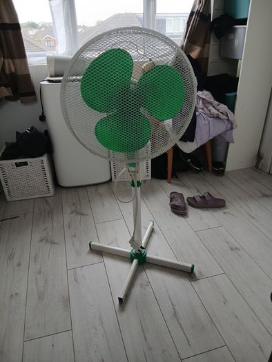 Fan