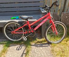 Apollo Envy kids bike 7+