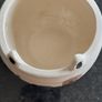 Bulldog plant pot Image 2