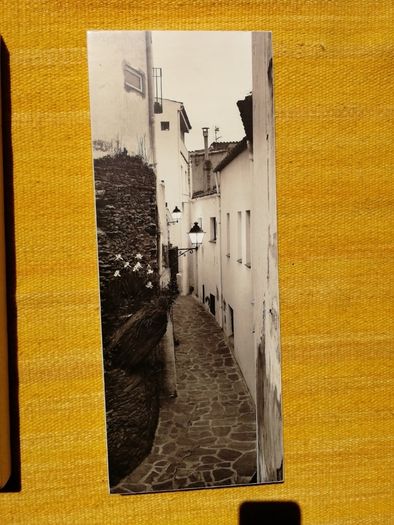 photos on canvas