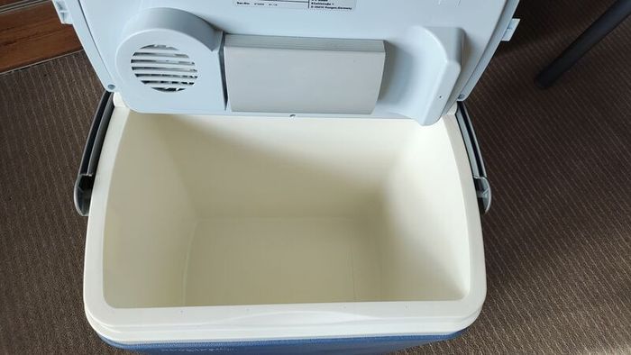 Electric cooler
