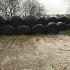 Silage bales