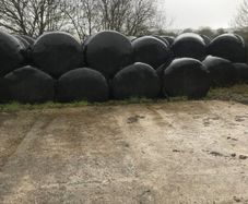 Silage bales