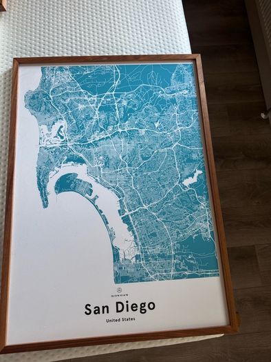 San Diego Framed Print