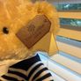 Paul Costelloe Living Teddy Bear Image 2