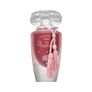 Lattafa Mohra Silky Rose Image 2