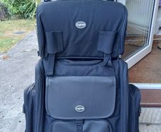 Motorcycle sissy bar bag