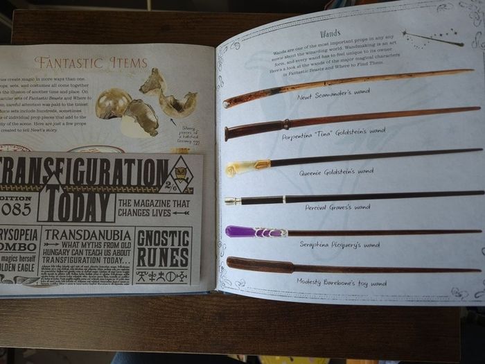 Newt Scamander A Movie Scrapbook