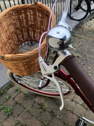 Releigh Willow Women's Bike
