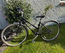 Female Hybrid bike