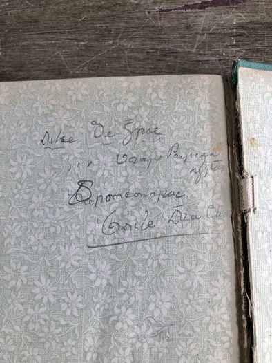 Antique Book The Flight of the Eagle by Standish O'Grady