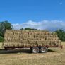 Square bales of hay Image 2