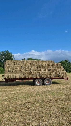Square bales of hay