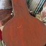 banjo Image 5