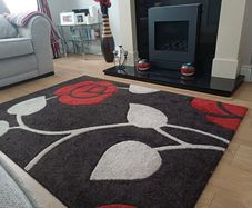 Living room rug