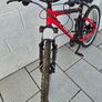 Focus mountain bike Image 7