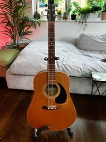Seagull S6+