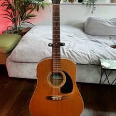 Seagull S6+