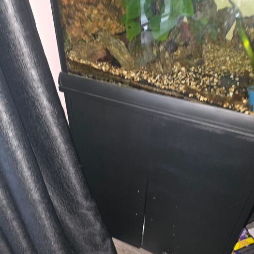200l fish tank