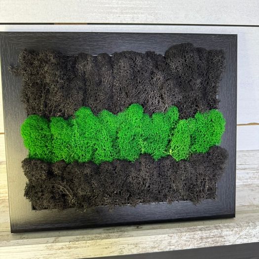 Frame 01 - 20x25cm natural moss