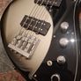 Player Plus Active Meteora Bass Image 3