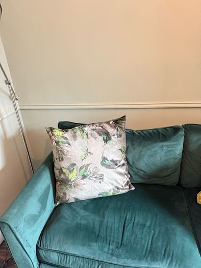 2 x large scatterbox cushions