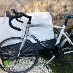 Starter racer bike