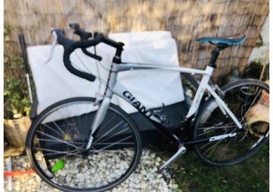 Starter racer bike