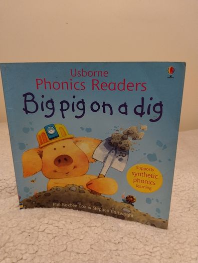 Usborne Early Reader Story Books