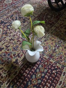 Plant decor