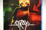 Stray PS4