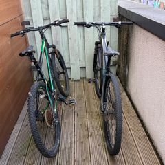 Cube and Carerra bikes
