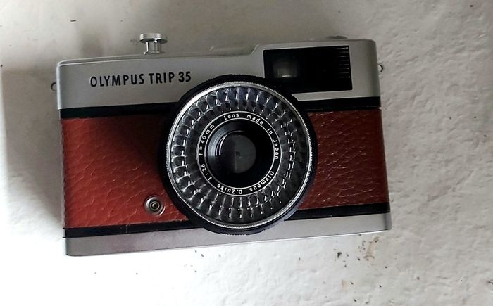 Olympus trip
